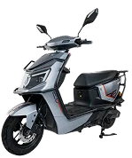 GREENBIRD A1 | Tailg