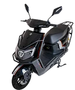 GREENBIRD A1 | Tailg